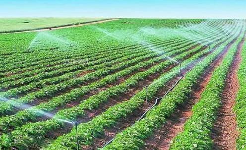 肏屁眼子视频综合农田高 效节水灌溉